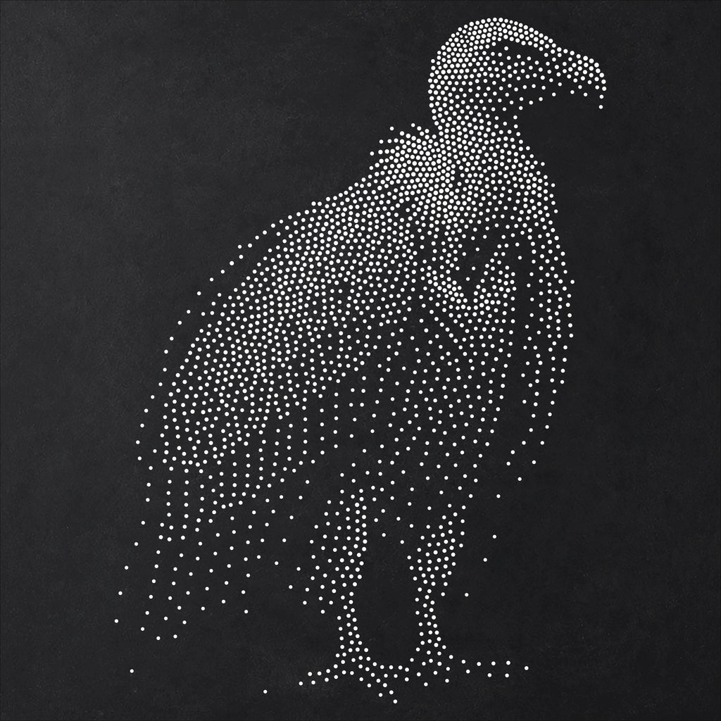 Vulture Bird reusable Mylar stencil
