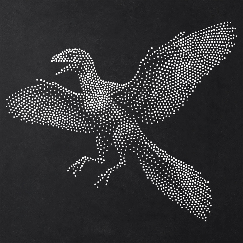 Archaeopteryx Dinosaur reusable Mylar stencil