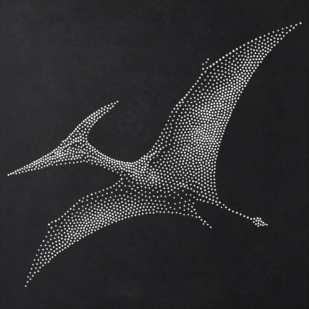 Pteranodon Pterosaur reusable Mylar stencil