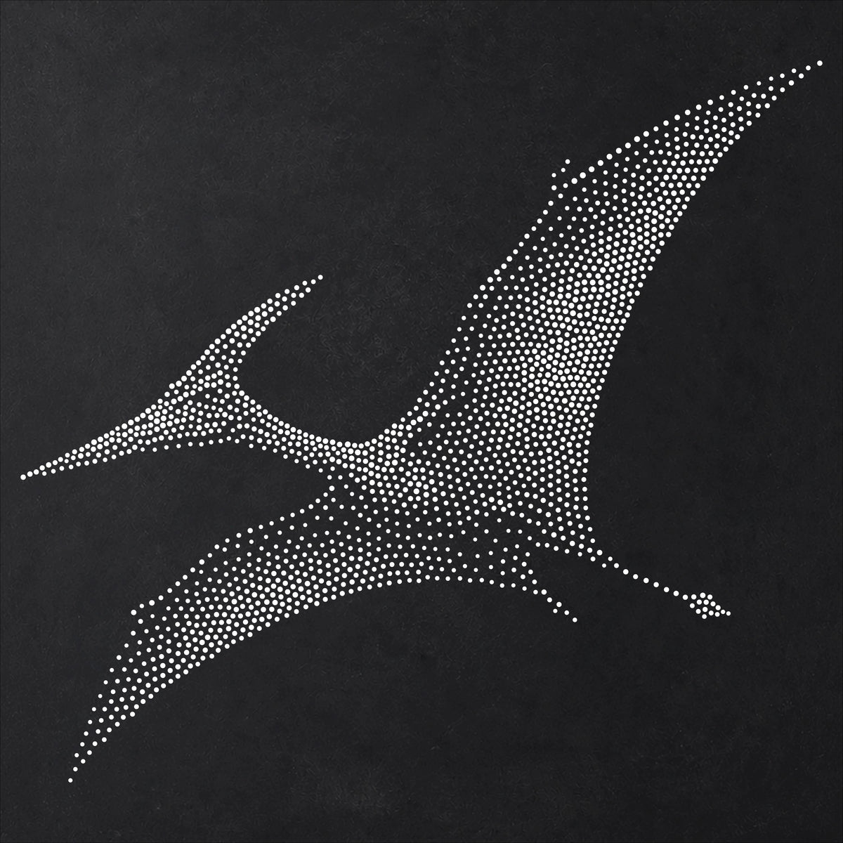 Pteranodon Pterosaur reusable Mylar stencil