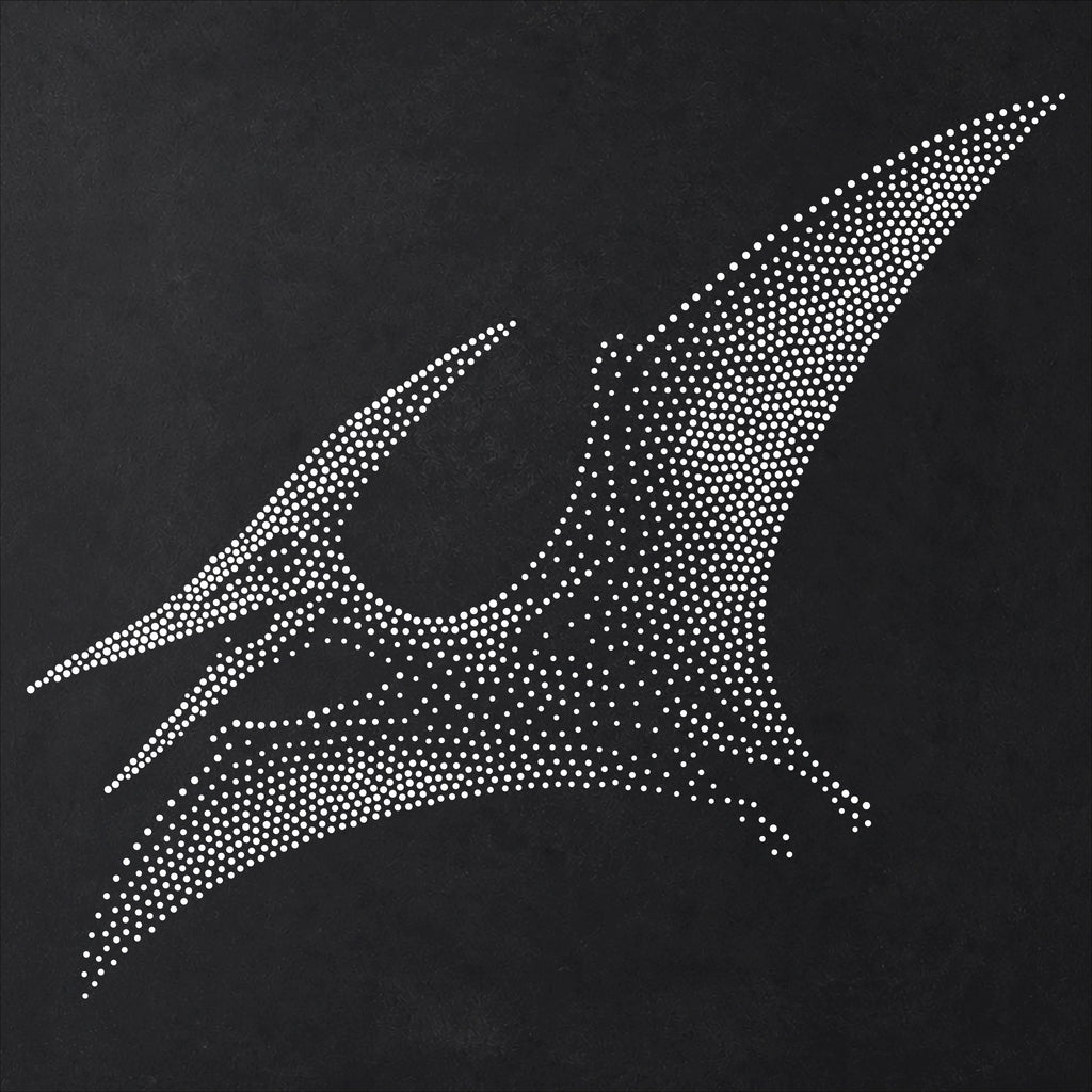 Pterodactyl Pterosaur reusable Mylar stencil