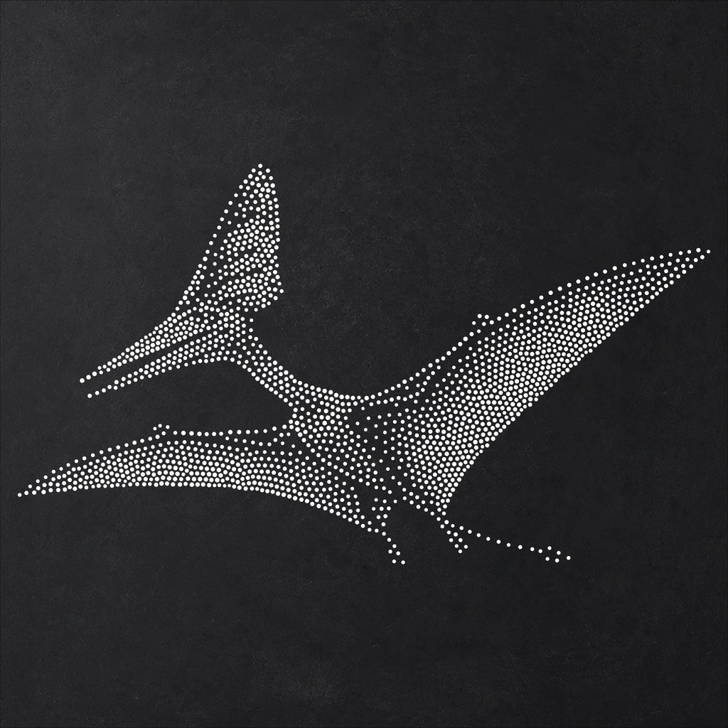 Tapejara Pterosaur reusable Mylar stencil