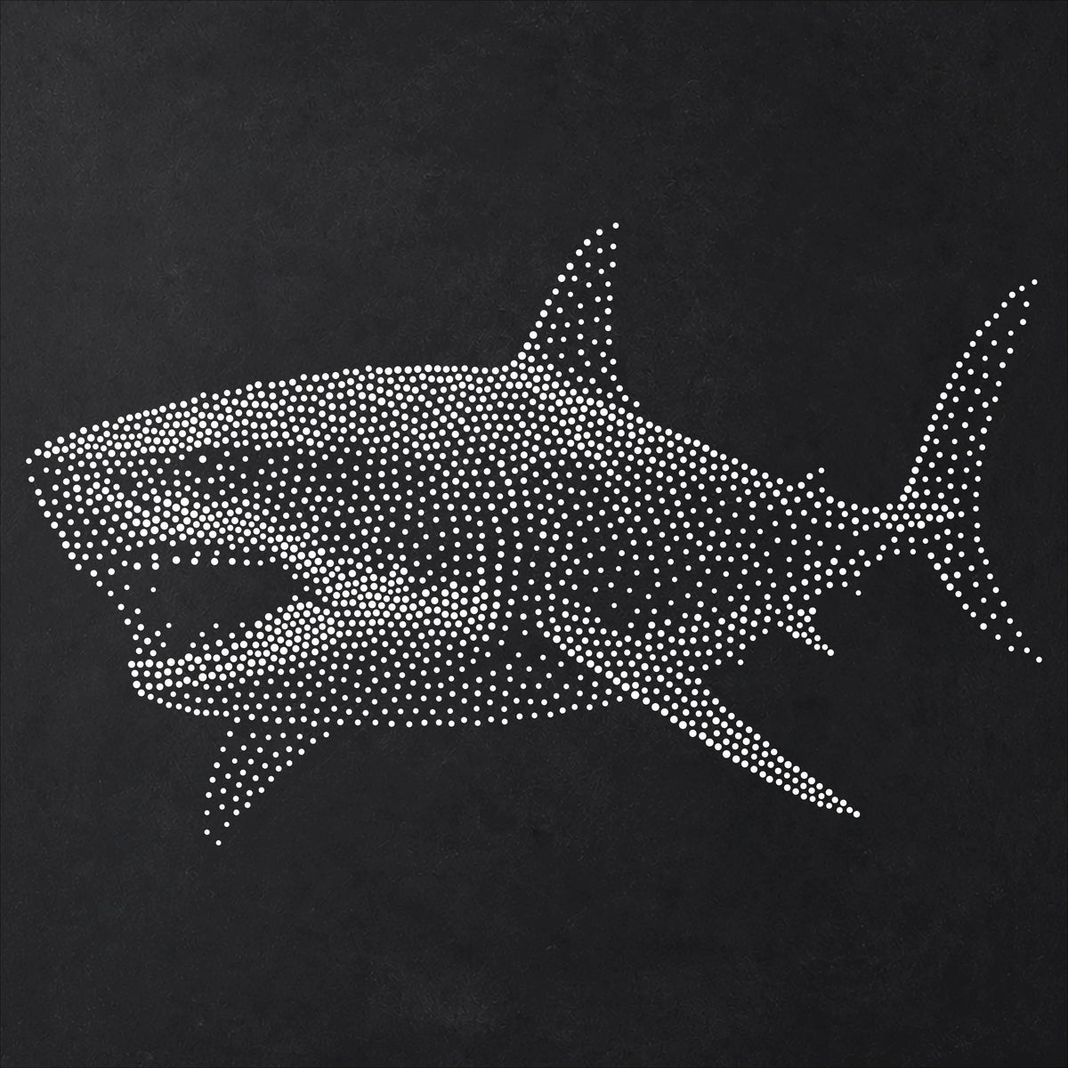 Megalodon reusable Mylar stencil