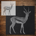 Gazelle reusable Mylar stencil