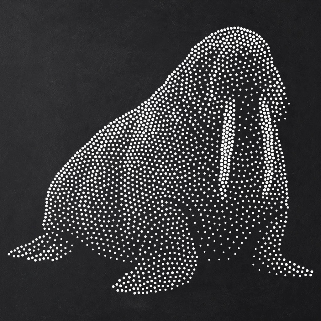 Walrus reusable Mylar stencil
