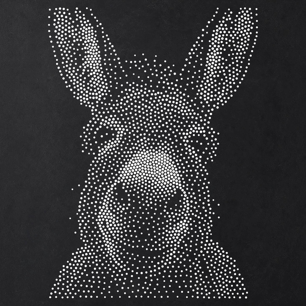 Donkey Portrait reusable Mylar stencil