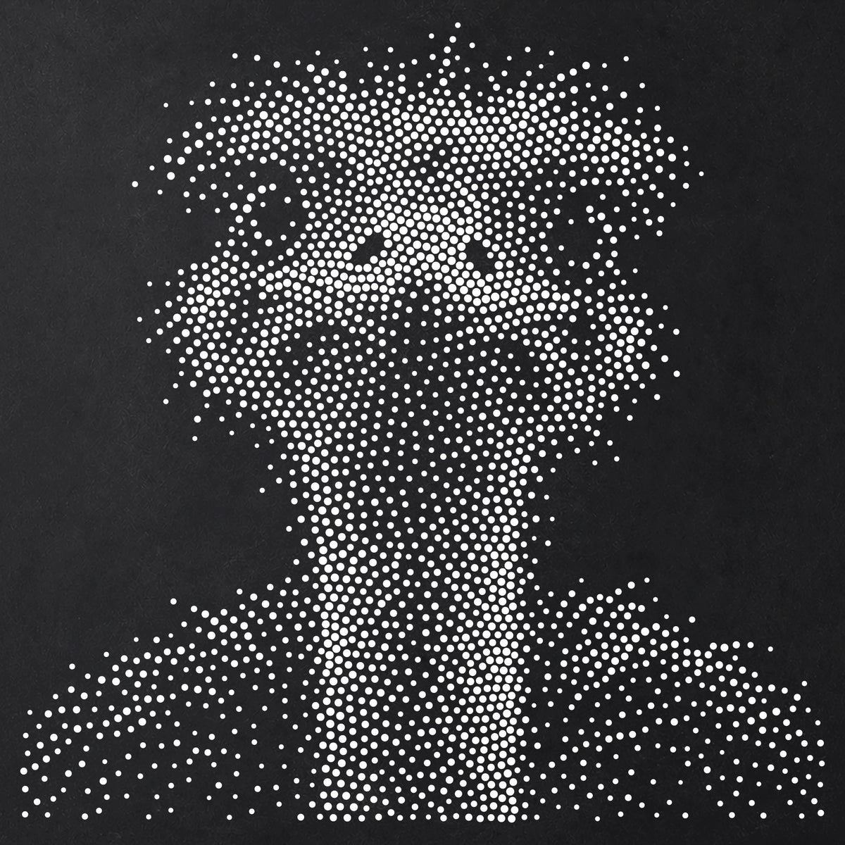 Ostrich Portrait reusable Mylar stencil