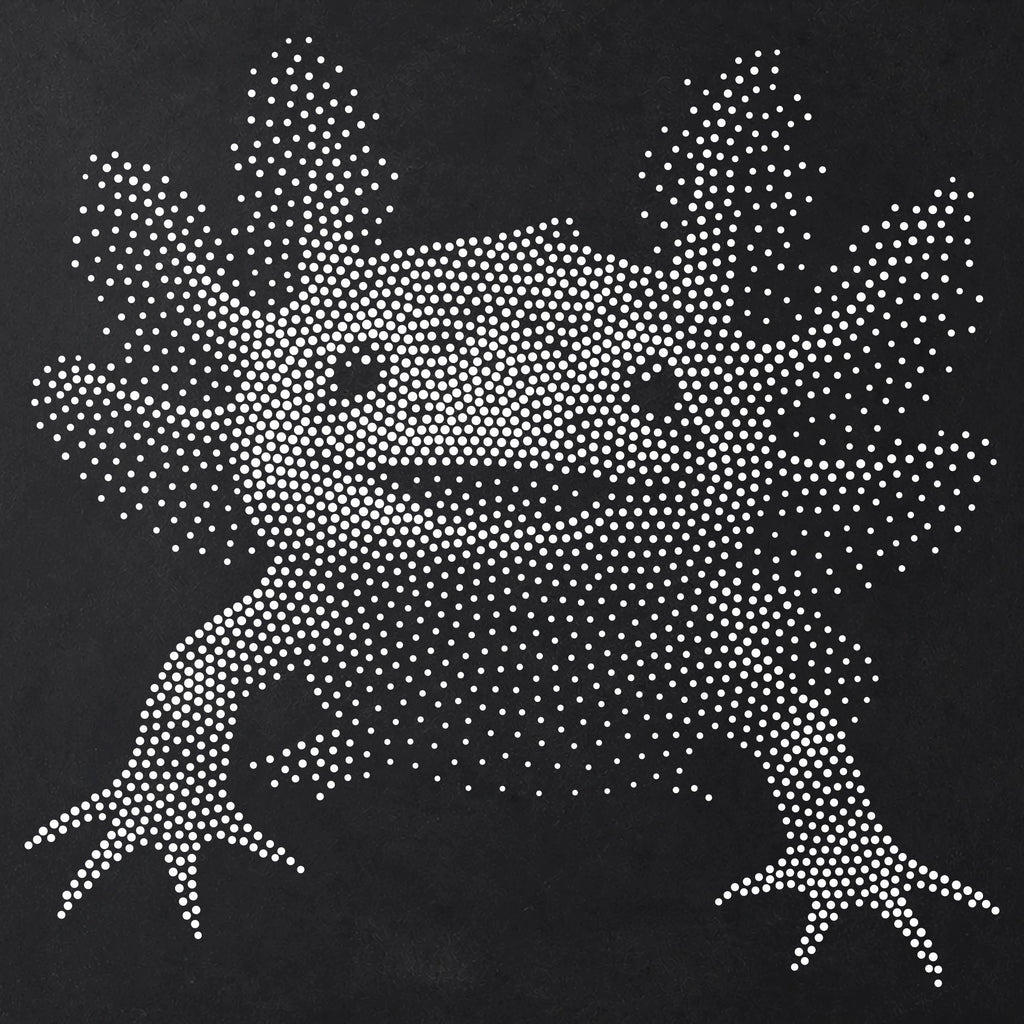 Axolotl Portrait reusable Mylar stencil
