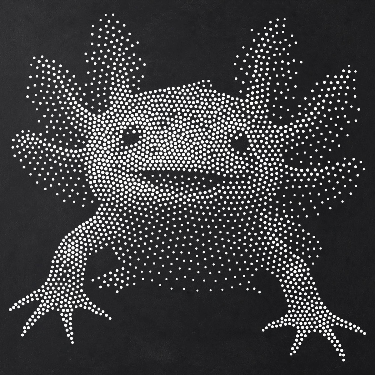 Axolotl Portrait reusable Mylar stencil
