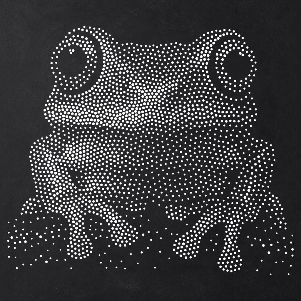 Tree Frog Portrait reusable Mylar stencil