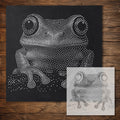 Tree Frog Portrait reusable Mylar stencil