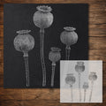 Poppy Seed Pods reusable Mylar stencil