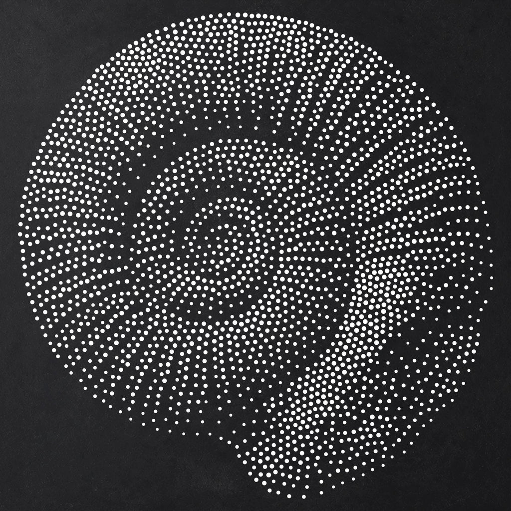 Ammonite Fossil reusable Mylar stencil