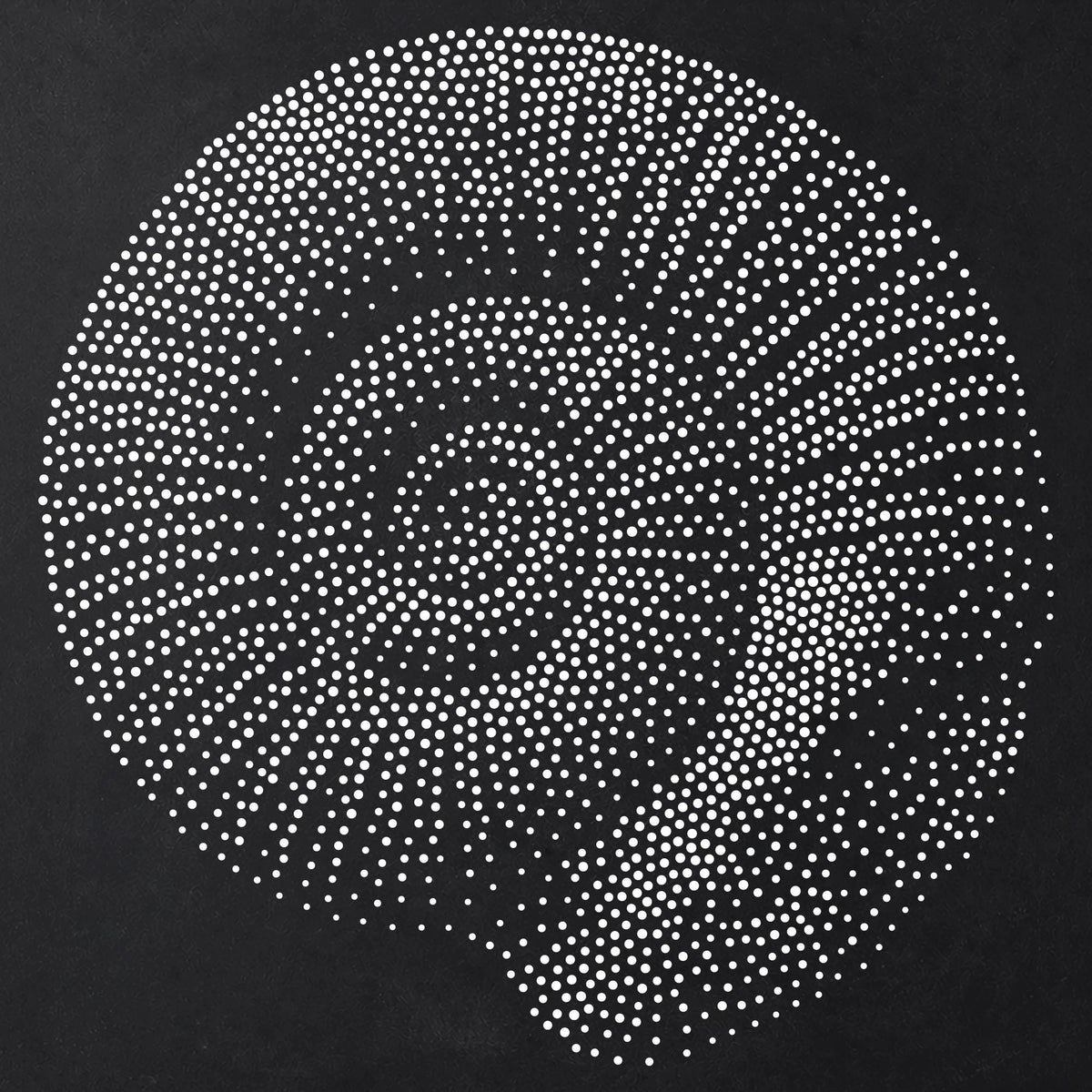 Ammonite Fossil reusable Mylar stencil