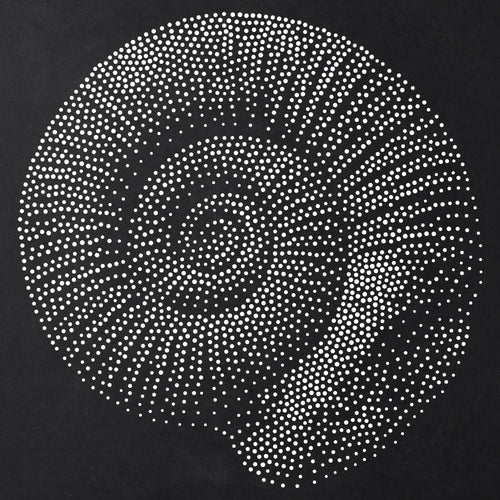 Ammonite Fossil reusable Mylar stencil