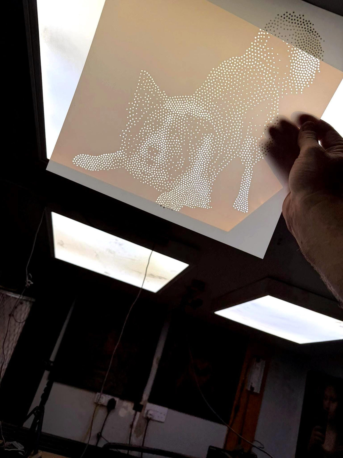 Border Collie Dog Playing reusable Mylar stencil