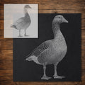 Goose reusable Mylar stencil