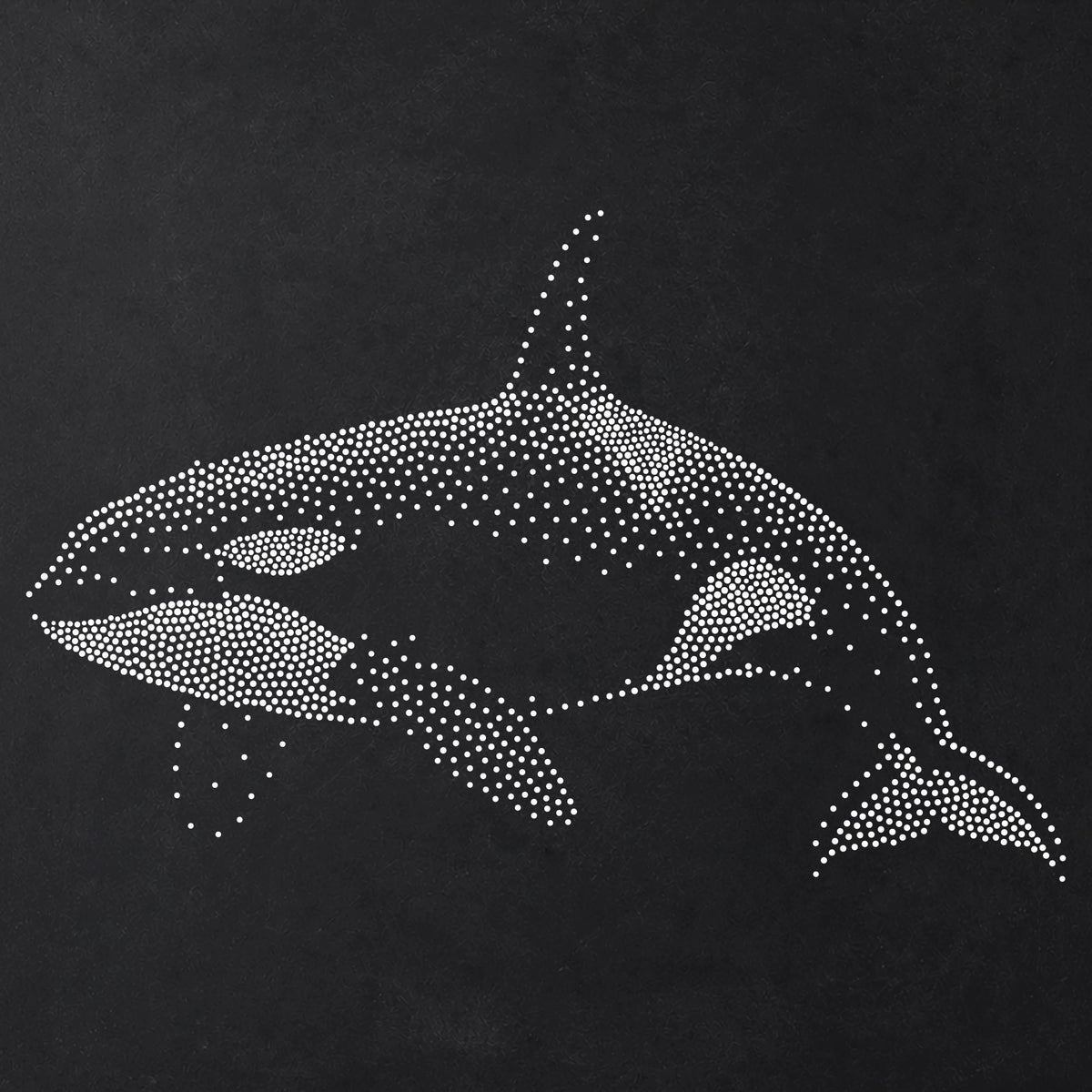 Orca Killer Whale reusable Mylar stencil