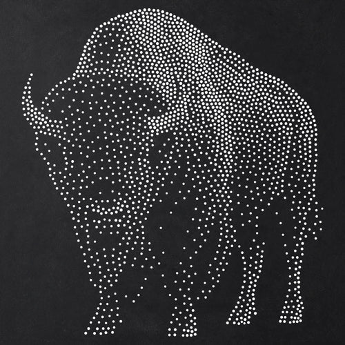 American Bison reusable Mylar stencil