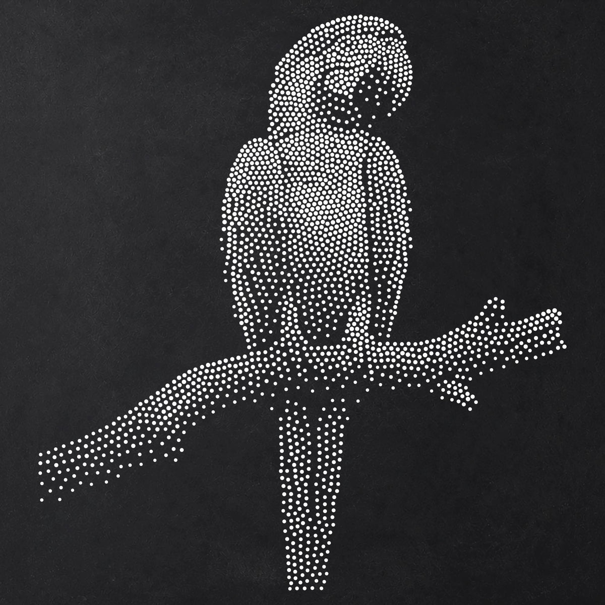 Macaw Parrot reusable Mylar stencil