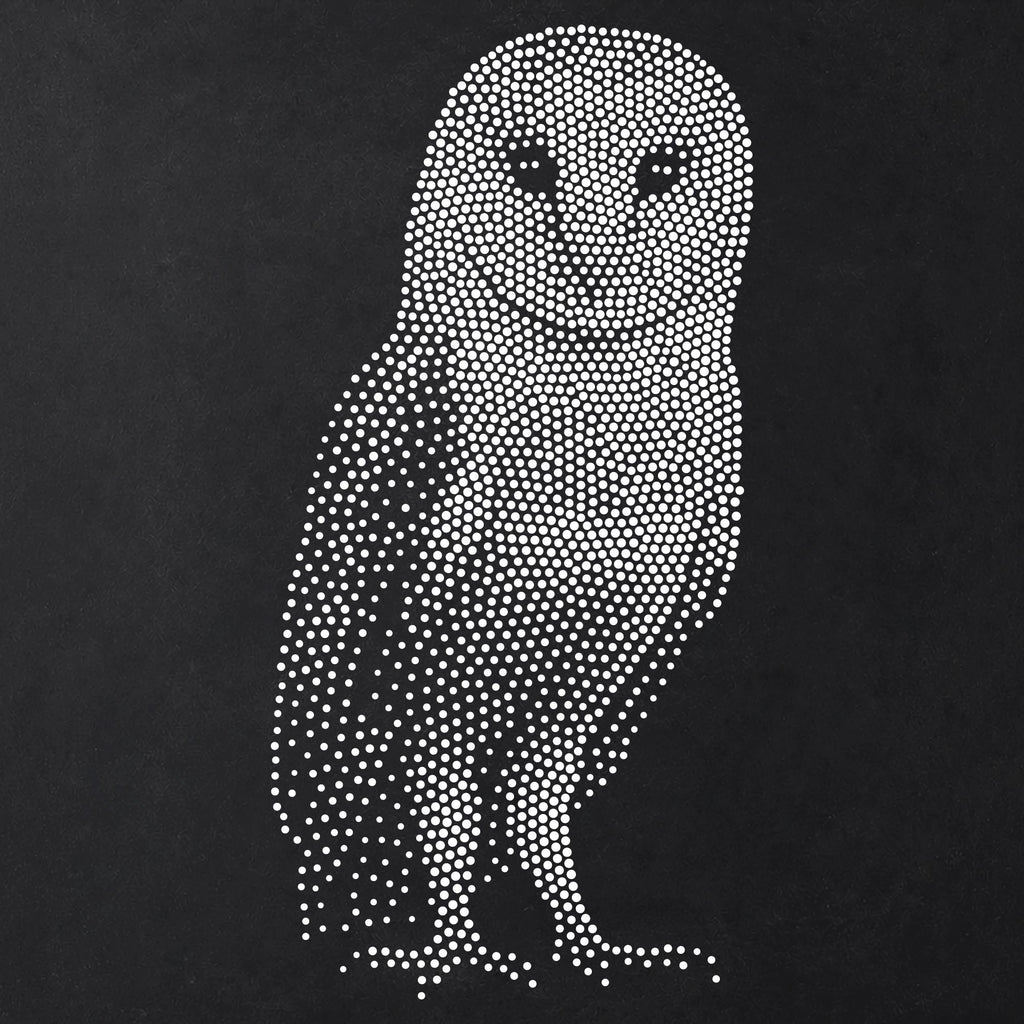 Barn Owl reusable Mylar stencil