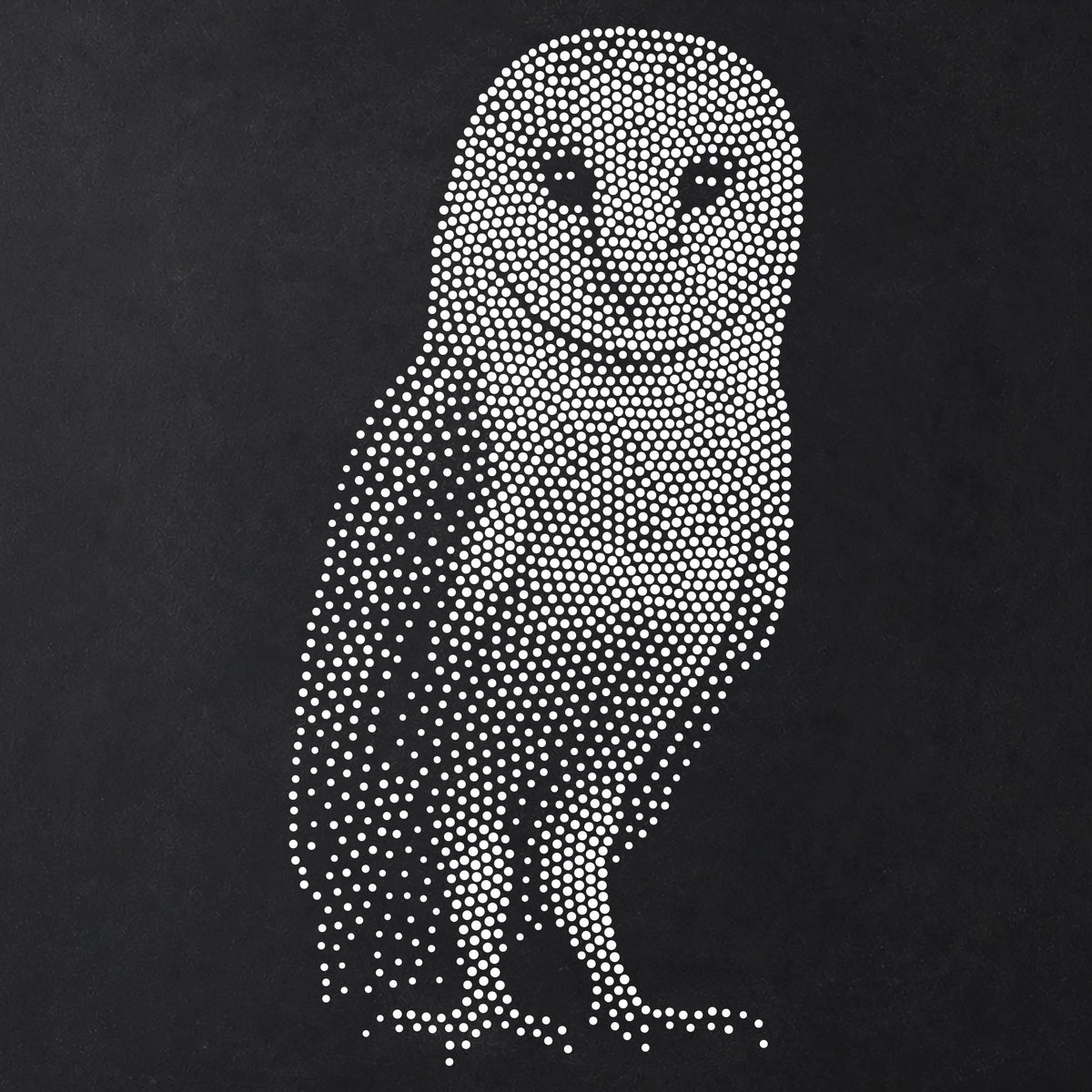 Barn Owl reusable Mylar stencil