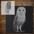 Barn Owl reusable Mylar stencil
