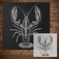 Lobster reusable Mylar stencil