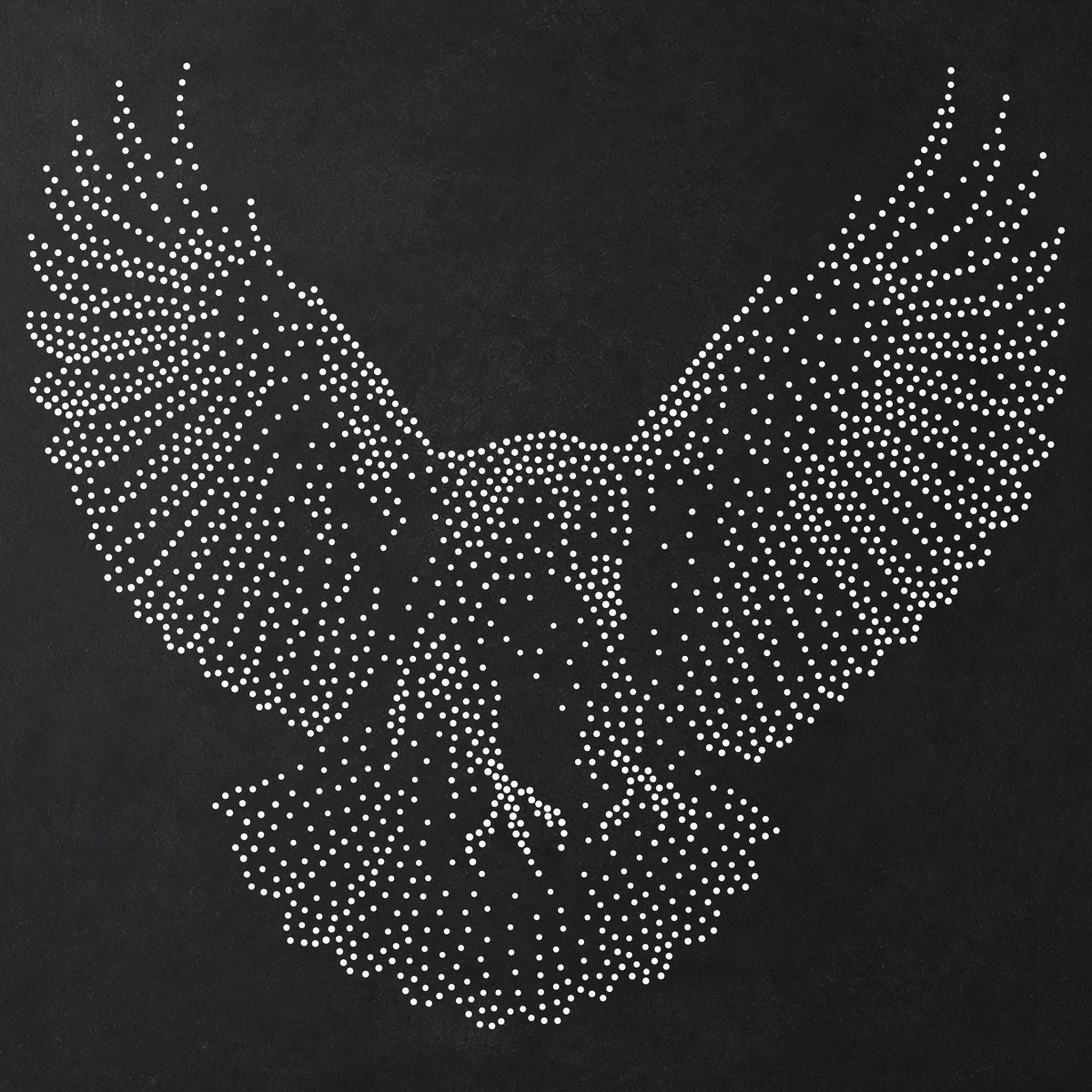 Raven Landing Bird reusable Mylar stencil