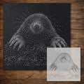 Mole reusable Mylar stencil