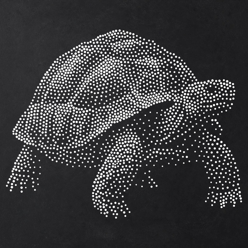 Tortoise reusable Mylar stencil