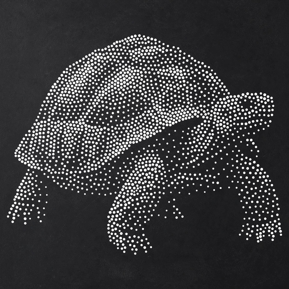 Tortoise reusable Mylar stencil