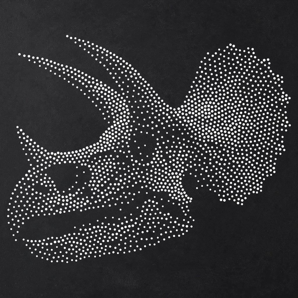 Triceratops Skull Dinosaur reusable Mylar stencil