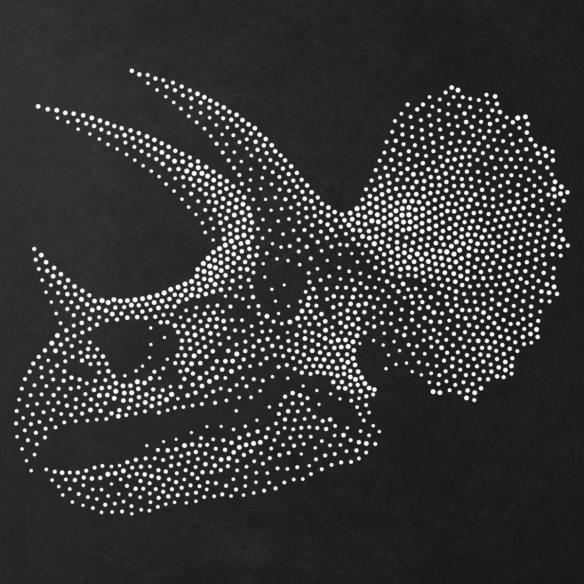Triceratops Skull Dinosaur reusable Mylar stencil