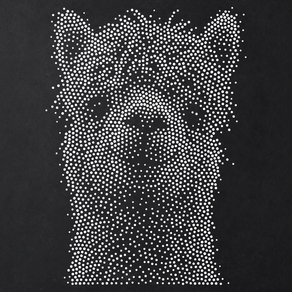 Alpaca Portrait reusable Mylar stencil