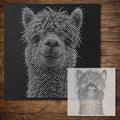 Alpaca Portrait reusable Mylar stencil