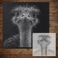 Ostrich Portrait reusable Mylar stencil
