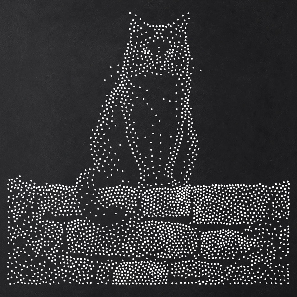 Black Cat on Wall reusable Mylar stencil