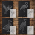 Bird reusable Mylar stencil