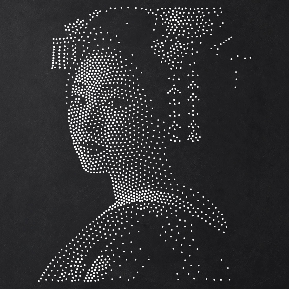 Geisha Portrait reusable Mylar stencil