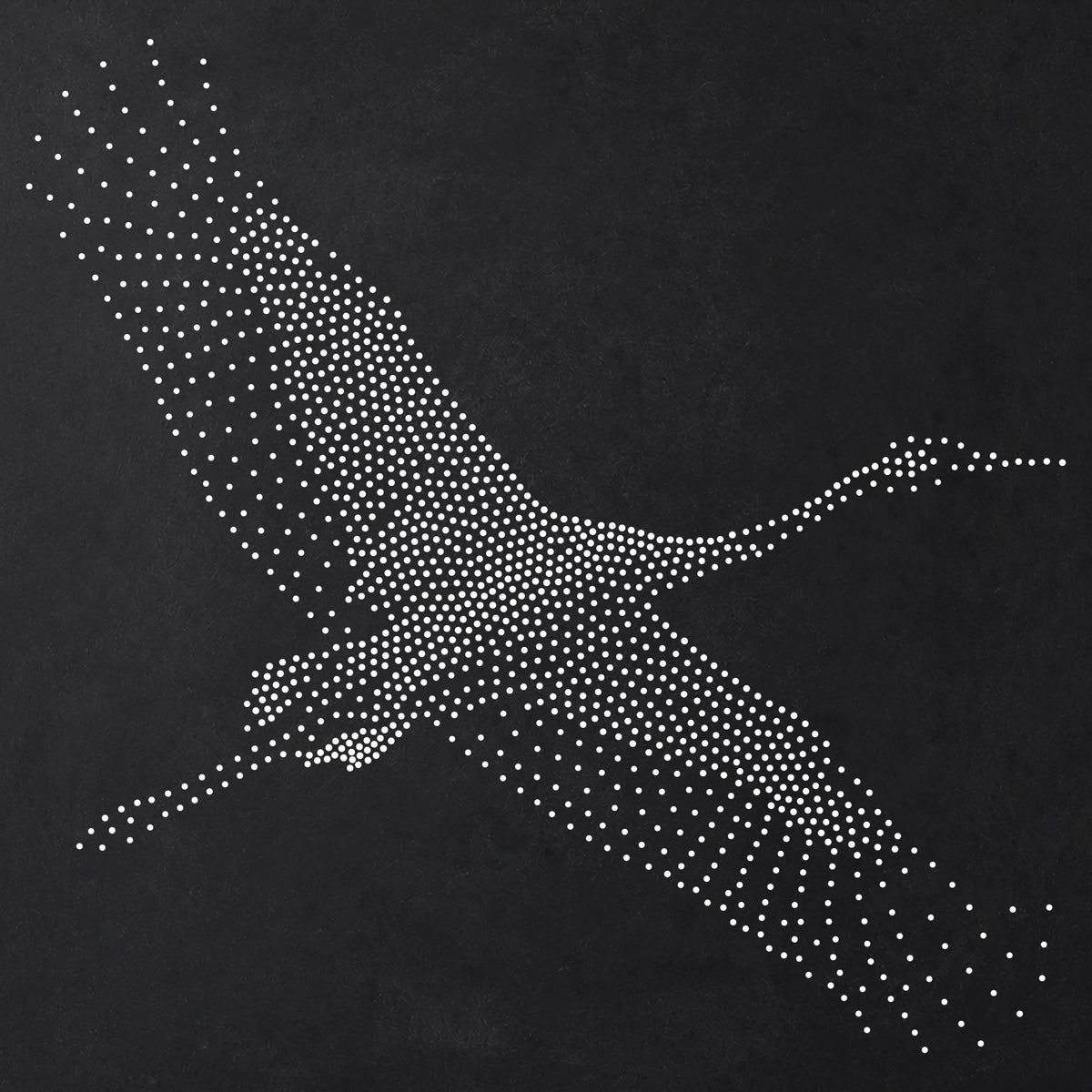 Crane Bird Flying reusable Mylar stencil