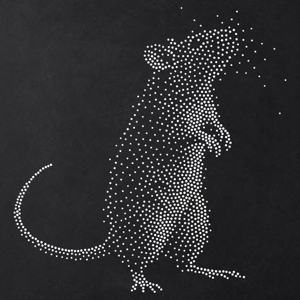 Rat reusable Mylar stencil