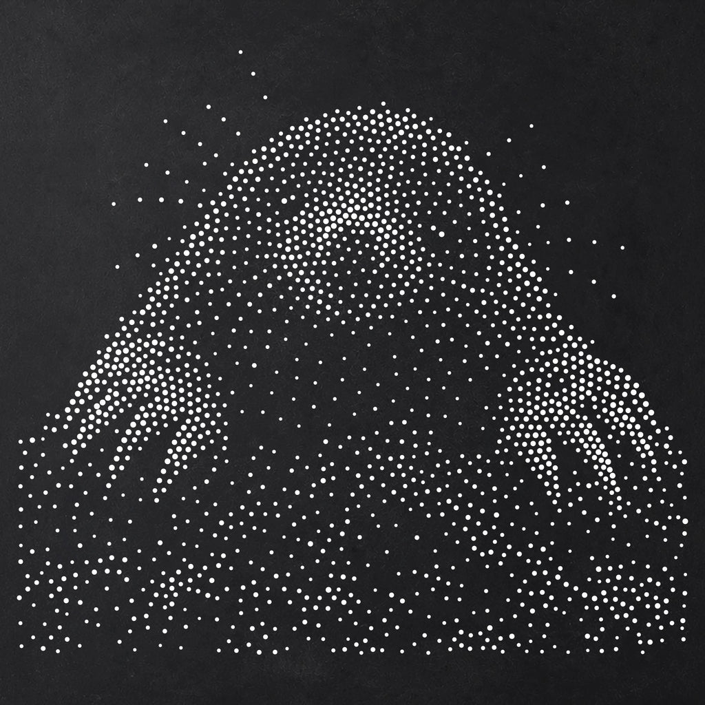 Mole reusable Mylar stencil