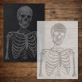 Skeleton reusable Mylar stencil