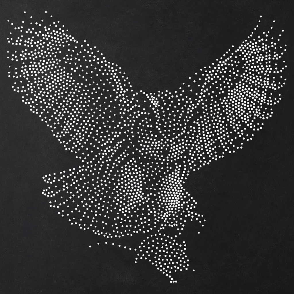 Owl Swooping reusable Mylar stencil