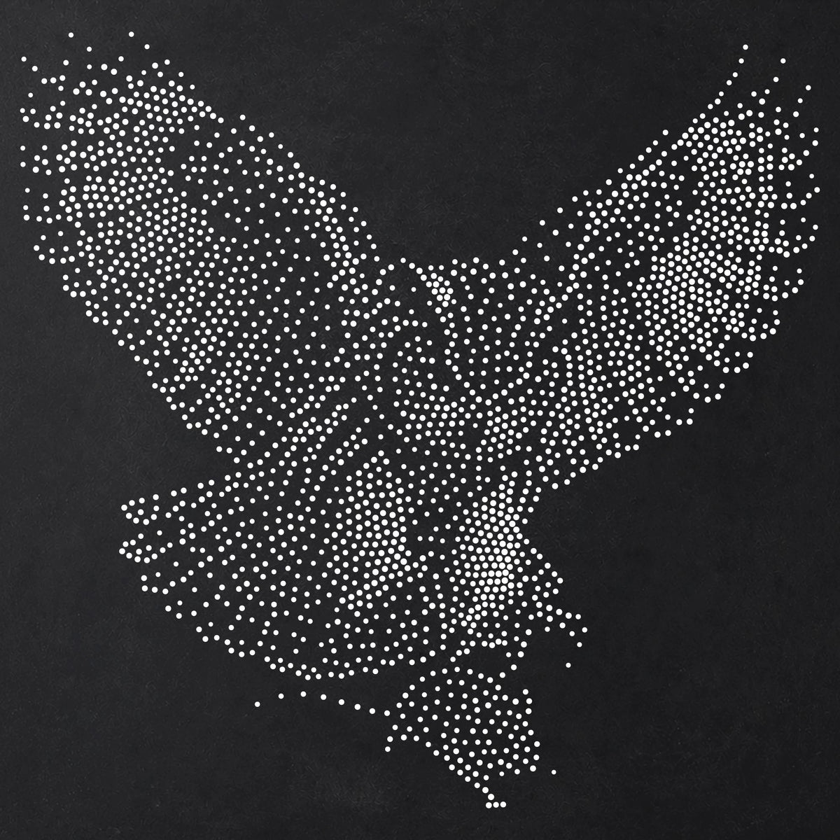 Owl Swooping reusable Mylar stencil