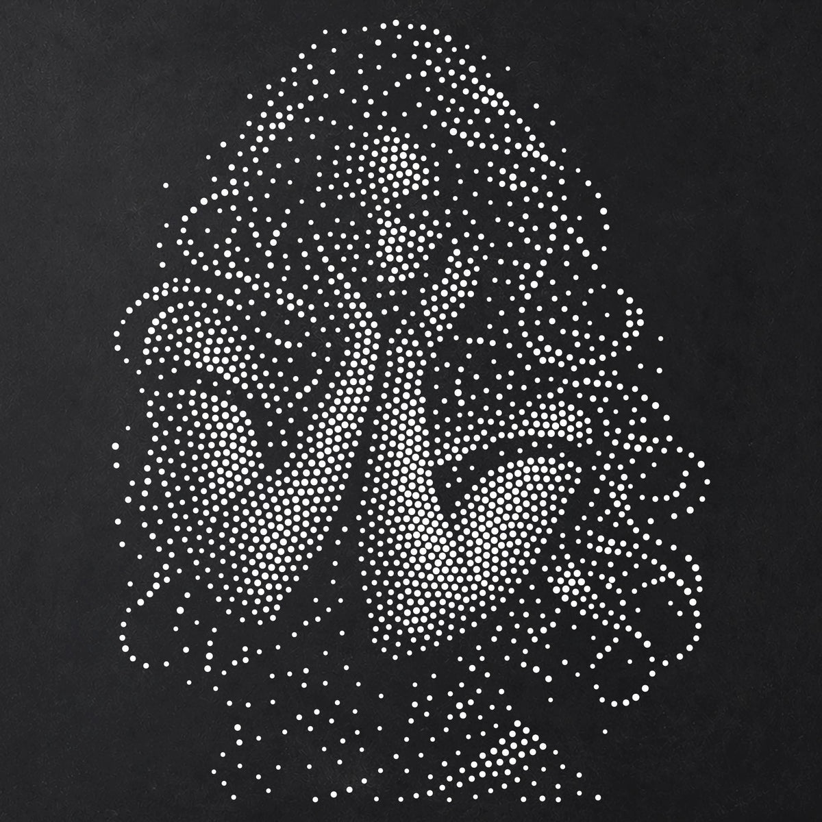 Women’s Portrait Collection reusable Mylar stencil