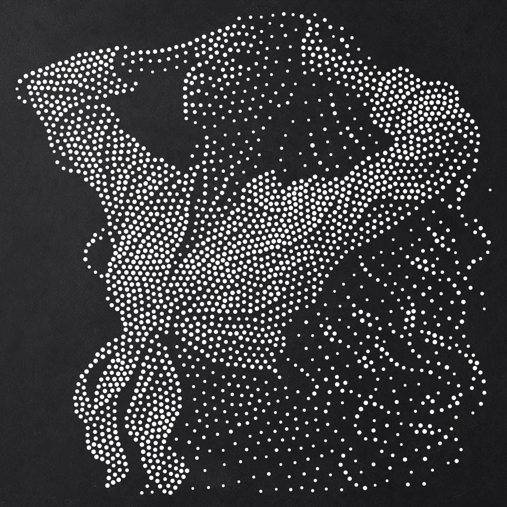 Women’s Portrait Collection reusable Mylar stencil