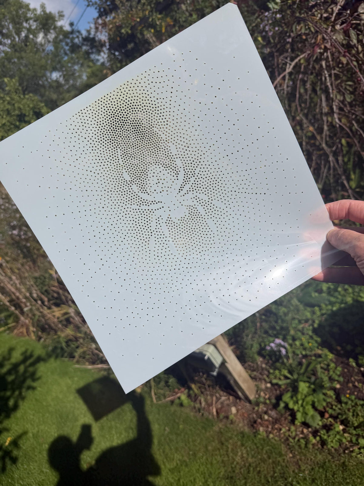 Spider on Web reusable Mylar stencil
