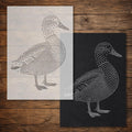 Duck reusable Mylar stencil